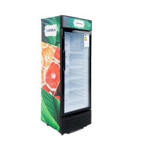 refrigerateur deska vertical vitrine